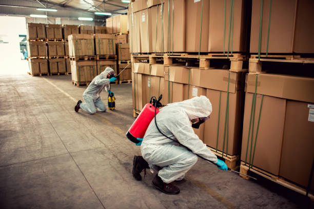 Best Pest Inspection Near Me  in Spring Valley Village, TX
