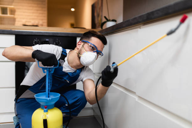  Spring Valley Village, TX Pest Control Pros