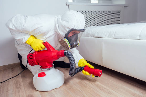 Best Affordable Pest Control Services  in Spring Valley Village, TX